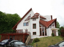 Pensiunea Serena - accommodation in  Transylvania (13)