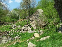 Pensiunea Piatra Mare - cazare Valea Buzaului (39)