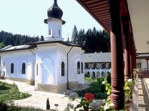 Pensiunea Punguta cu doi bani - accommodation in  Ceahlau Bicaz, Agapia - Targu Neamt (17)