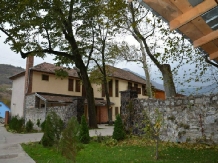 Casa cu Platani - accommodation in  Banat (01)