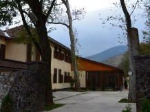 Casa cu Platani - accommodation in  Banat (09)