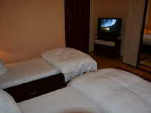 Casa cu Platani - accommodation in  Banat (15)