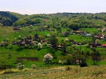 Pensiunea Dolina - accommodation in  Apuseni Mountains (23)