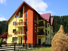 Pensiunea Valeria - accommodation in  Gura Humorului, Voronet, Bucovina (22)