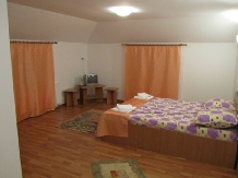 Pensiunea Ecaterina - accommodation in  North Oltenia (10)