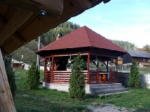 Pensiunea Floare de Crin - accommodation in  Bucovina (10)