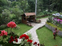 Vila Soimul - accommodation in  Harghita Covasna, Tusnad (17)