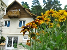Pensiunea Hedy - alloggio in  Valle di Prahova (06)