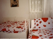 Pensiunea Hedy - accommodation in  Prahova Valley (13)
