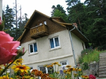 Pensiunea Hedy - accommodation in  Prahova Valley (16)