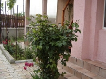 Casa Emaus - accommodation in  Black Sea (21)