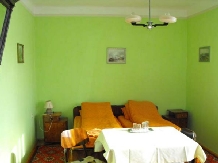 Pensiunea Elisa - accommodation in  Crisana (09)