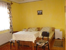 Pensiunea Elisa - accommodation in  Crisana (10)