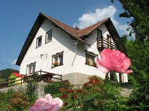 Casa Dragoslovean - accommodation in  Rucar - Bran, Moeciu (01)