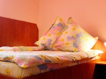 Pensiunea Cerbul - accommodation in  Comanesti (15)
