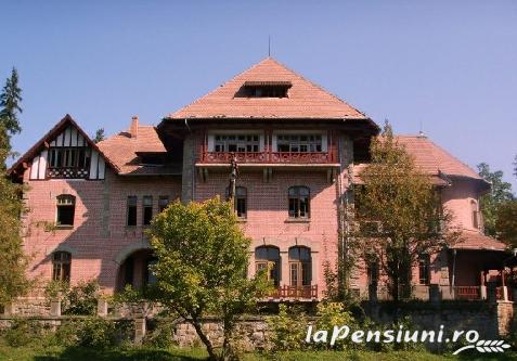 Pensiunea Cerbul - accommodation in  Comanesti (Surrounding)