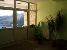 Casa Elim - alloggio in  Rucar - Bran, Piatra Craiului, Rasnov (09)