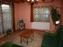 Pensiunea Borostyan - accommodation in  Harghita Covasna, Lacu Rosu (11)