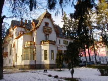 Vila Camelia - alloggio in  Valle di Prahova (12)