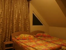 Pensiunea Diana - accommodation in  Sibiu Surroundings, Olt Valley, Fagaras and nearby (12)