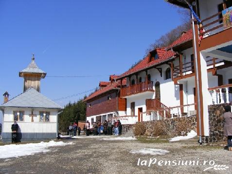 Pensiunea Diana - alloggio in  Dintorni di Sibiu, Valea Oltului, Fagaras e vicinanze (Attivit&agrave; e i dintorni)