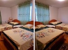 Cazare Vila Elena - accommodation in  Maramures Country (02)