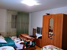 Cazare Vila Elena - accommodation in  Maramures Country (03)