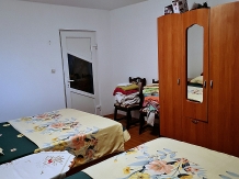 Cazare Vila Elena - accommodation in  Maramures Country (04)