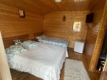 Complex Turistic 3 tauri - accommodation in  Muscelului Country (24)