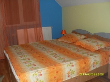 Pensiunea Mihaela - accommodation in  Olt Valley (13)