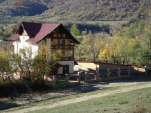 Casa din salcami - accommodation in  North Oltenia (02)