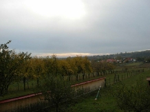 Casa din salcami - accommodation in  North Oltenia (09)