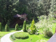 Casa Lacului - alloggio in  Valea Oltului, Voineasa (29)