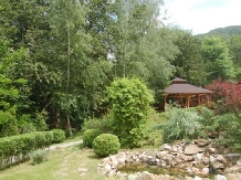 Casa Lacului - alloggio in  Valea Oltului, Voineasa (32)