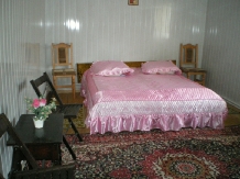 Pensiunea Muntilor Vrancei - alloggio in  Moldova (11)