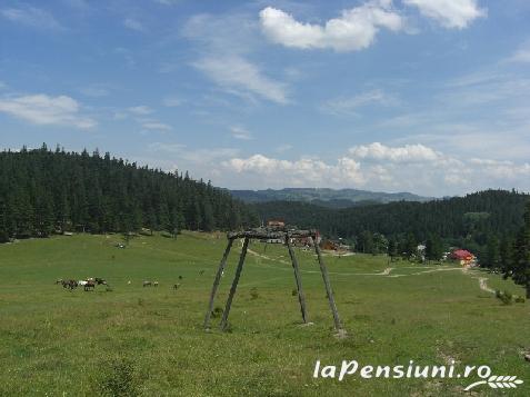 Pensiunea Muntilor Vrancei - accommodation in  Moldova (Surrounding)