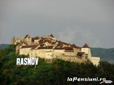 Pensiunea Rosenville - accommodation in  Rucar - Bran, Rasnov (Surrounding)