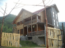 Cabana Soarelui - accommodation in  Hateg Country (05)