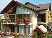 Milexim - accommodation in  Transylvania (04)