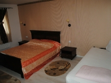 Pensiunea Lavinia - accommodation in  Baile Felix (22)