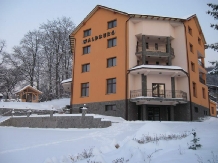Pensiunea Waldburg - accommodation in  Rucar - Bran, Rasnov (01)