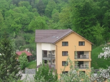 Pensiunea Waldburg - alloggio in  Rucar - Bran, Rasnov (09)