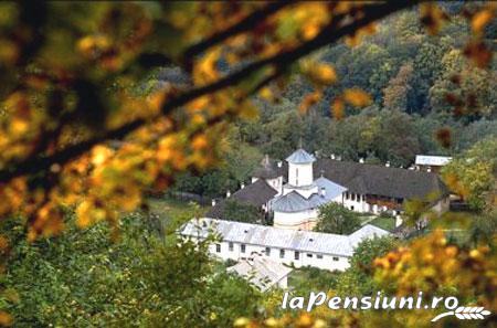 Pensiunea Lili Novaci - accommodation in  North Oltenia, Transalpina (Surrounding)