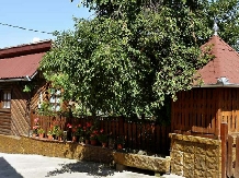 Pensiunea Ecoturistica Iancu - accommodation in  Hateg Country (06)