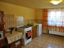 Pensiunea Ecoturistica Iancu - accommodation in  Hateg Country (10)