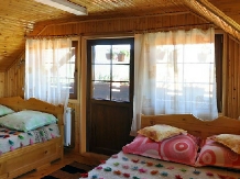 Pensiunea Ecoturistica Iancu - accommodation in  Hateg Country (13)