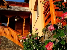 Pensiunea Alina - accommodation in  Maramures Country (14)