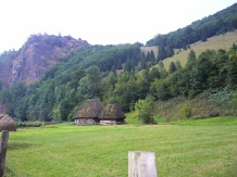 Pensiunea Orhideea - accommodation in  Apuseni Mountains, Valea Draganului (02)