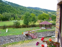 Pensiunea Orhideea - accommodation in  Apuseni Mountains, Valea Draganului (04)