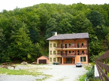 Pensiunea Orhideea - accommodation in  Apuseni Mountains, Valea Draganului (16)
